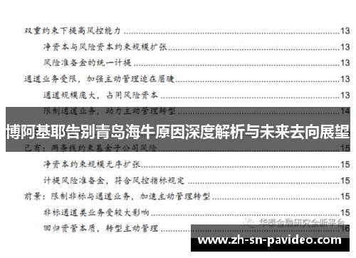 博阿基耶告别青岛海牛原因深度解析与未来去向展望 博阿基耶告别青岛海牛原因深度解析与未来去向展望
