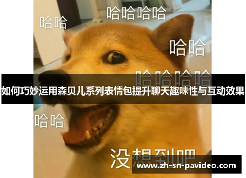 如何巧妙运用森贝儿系列表情包提升聊天趣味性与互动效果