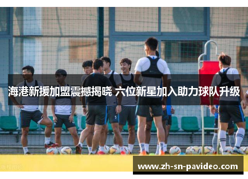 海港新援加盟震撼揭晓 六位新星加入助力球队升级