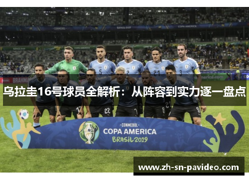 乌拉圭16号球员全解析：从阵容到实力逐一盘点
