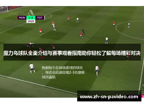 魔力鸟球队全面介绍与赛事观看指南助你轻松了解每场精彩对决