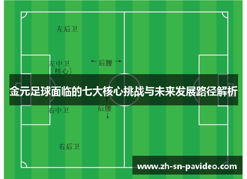 金元足球面临的七大核心挑战与未来发展路径解析