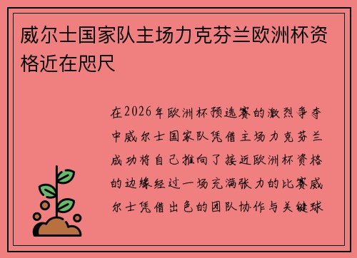 威尔士国家队主场力克芬兰欧洲杯资格近在咫尺
