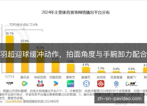 羽超迎球缓冲动作,拍面角度与手腕卸力配合 羽超迎球缓冲动作,拍面角度与手腕卸力配合
